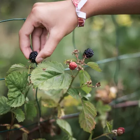 Les Filolies 3* Saint-Andre-d'Allas