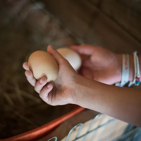 Les Filolies Bed and Breakfast 3*