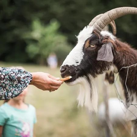 Les Filolies Bed & Breakfast
