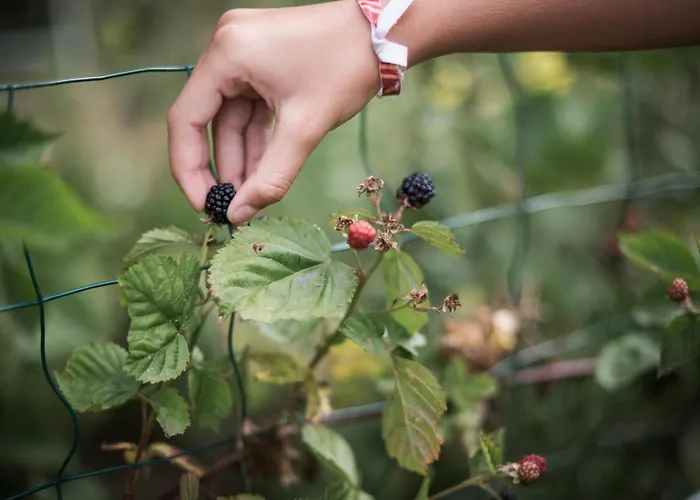 Les Filolies 3* Saint-Andre-d'Allas