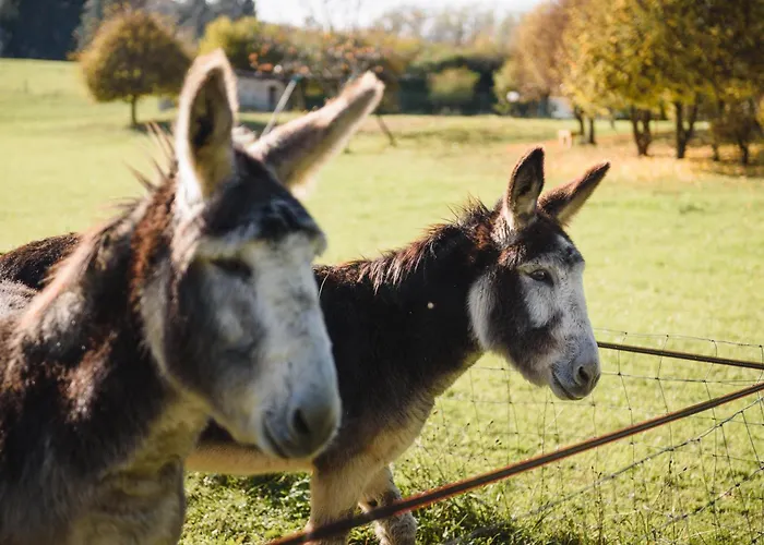 Bed and Breakfast Les Filolies
