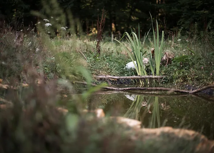 Les Filolies 3* Saint-Andre-d'Allas