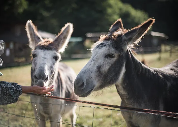 Bed and Breakfast Les Filolies