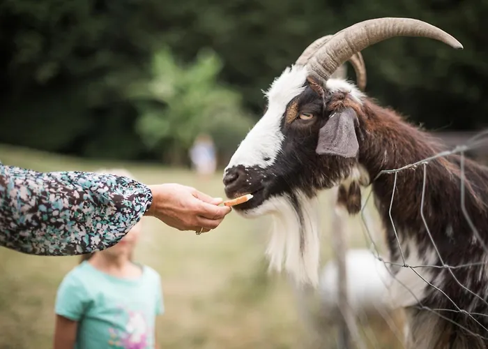 Les Filolies Nocleg ze śniadaniem